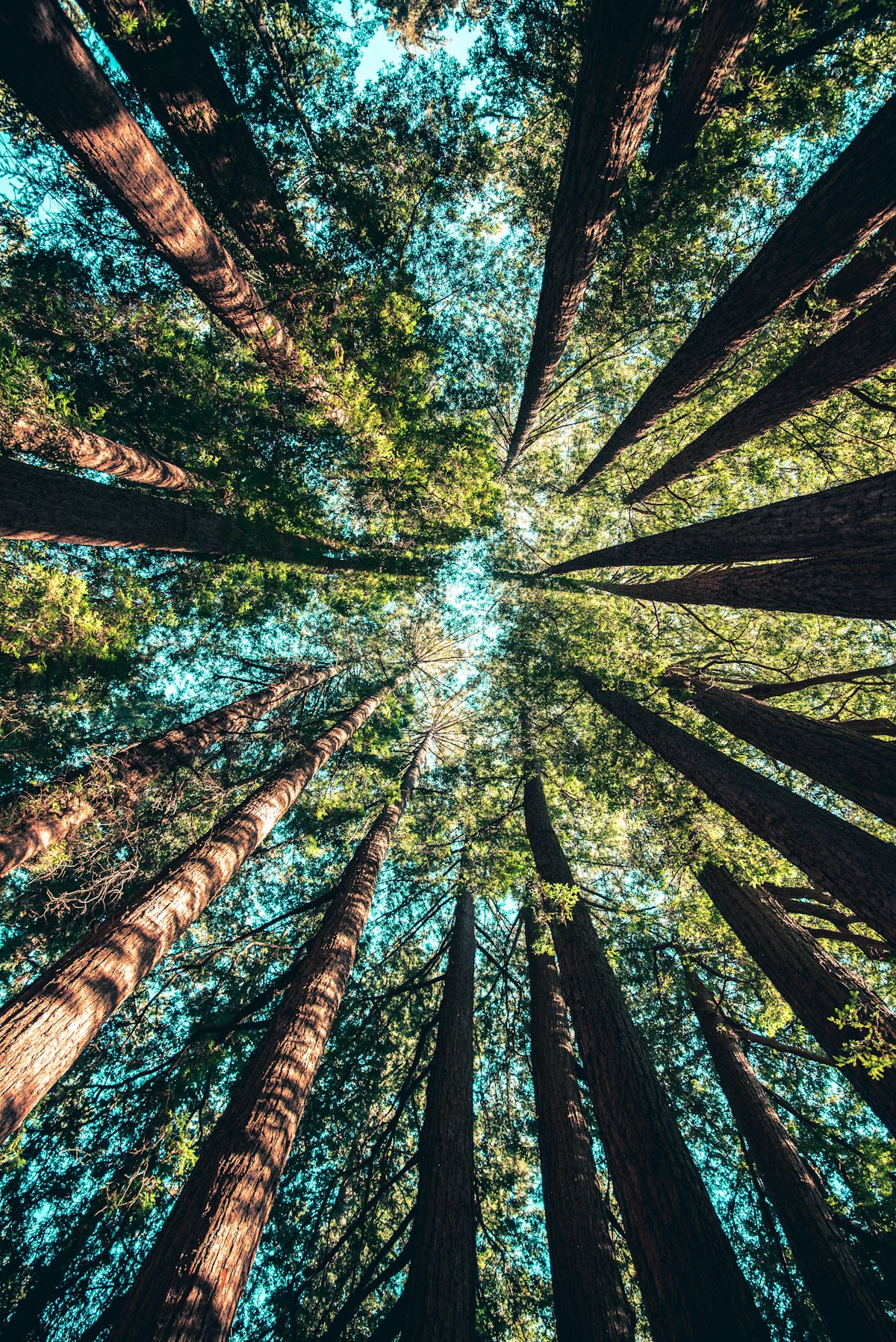 10 MWp Arazi Tipi Güneş Enerjisi Santrali (GES) Taahhüdü